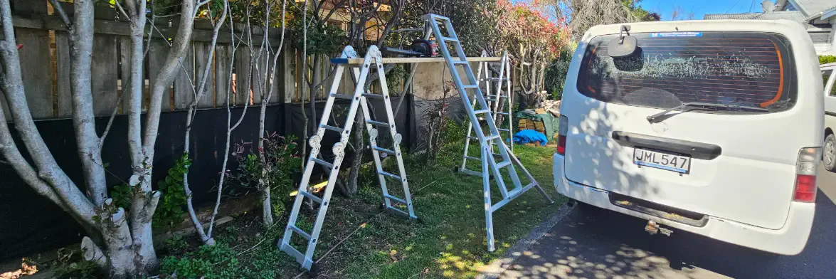Tree Work